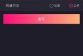 国产小视频网