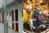 国产成人啪精品视频网站午夜,揭秘国产成人视频网站的秘密世界